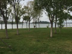 -武清南湖绿博园