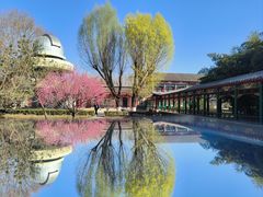 -达活泉公园