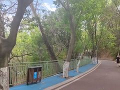 -攀枝花公园