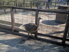 -前小桔亲子创意农场·草莓采摘·露营烧烤