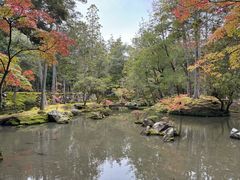 -西芳寺(苔寺)