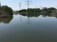 -九里河湿地公园