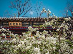-潭柘寺景区