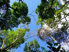 -海南热带雨林国家公园吊罗山景区