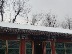 -荣国府