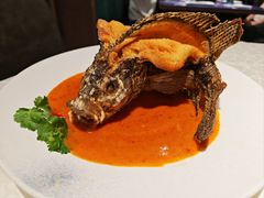 -珍宝海鲜JUMBO Seafood(ifc店)