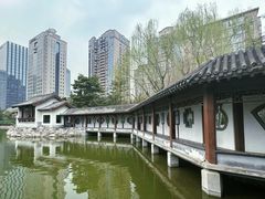 -团结湖公园