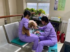 -康旭宠物医院(郑州总院)