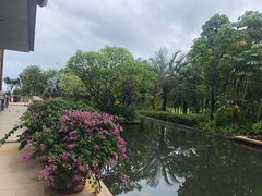 -海棠湾九号度假酒店-融荟家和中餐厅