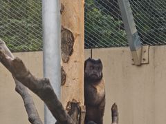 -合肥野生动物园