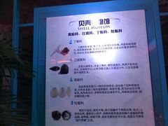 -贝壳梦幻世界