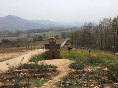 -黄色小屋