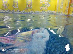 -贝贝鲸亲子游泳俱乐部(富城商楼店)