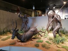 -北京周口店北京人遗址博物馆