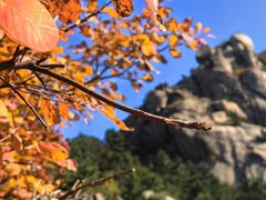 -太和山风景区