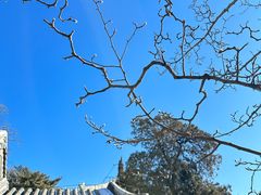 -潭柘寺景区