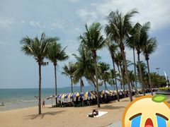 -大螃蟹海鲜餐厅