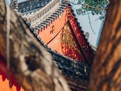 -大雁塔北广场音乐喷泉