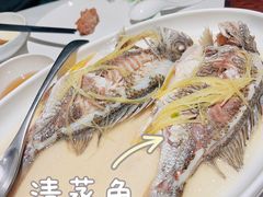 -花城苑广府菜(侨鑫店)