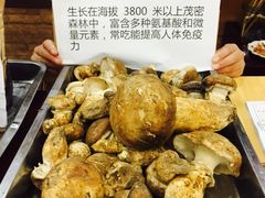 -聚福源·特色川菜馆·烤羊排