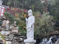 -八大处公园
