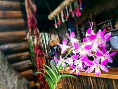 -火咂咂竹筒宴(告庄店)