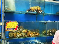 水产区-蚝专家(北滘店)
