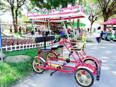 -广东花都香草世界旅游度假区