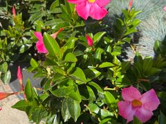 -塞拉瓦莱名品奥特莱斯