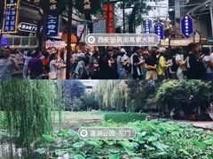 -莲湖公园