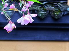 -慧因高丽寺