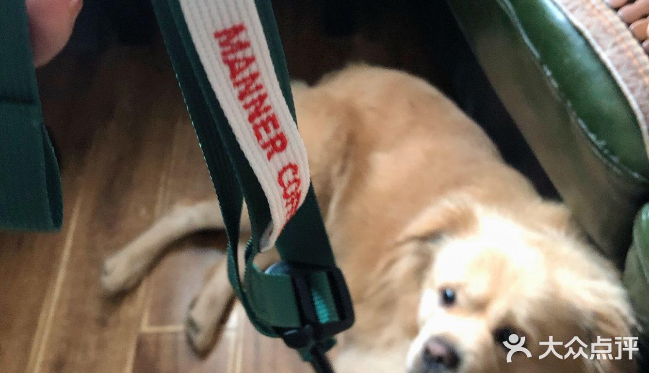 [胜利]So Lucky 太感谢Manner啦 🐶有福啦[调皮]