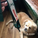[胜利]So Lucky 太感谢Manner啦 🐶有福啦[调皮]