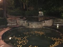 -天目湖涵田半山温泉