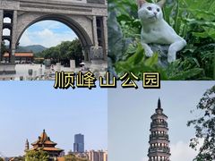-凤城·食都