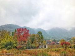 -塔川景区