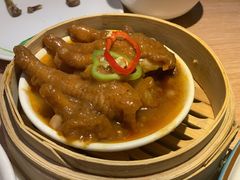 -南枝记
