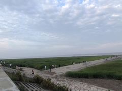 -上海南汇嘴大堤酒店