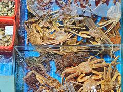 -船奇蒸汽海鲜·闽菜(八市海鲜总店)