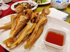 -老吉士酒家(天平路店)