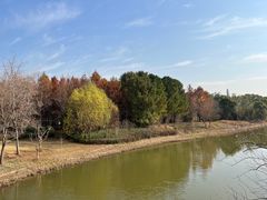 -上海长兴岛郊野公园