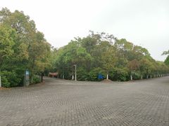 -上海海湾国家森林公园