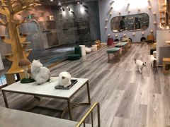 -BABIT巴比特宠物(MOMOPARK店)