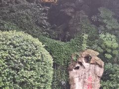 -杭州黄龙洞