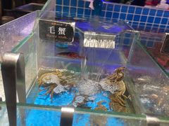 -加餐海鲜自助(宝龙一城店)