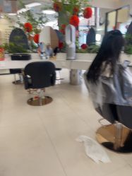 -BEAUTY HAIR GANO