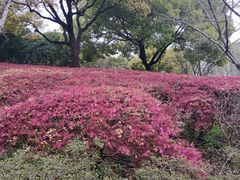 -苏州河梦清园环保主题公园