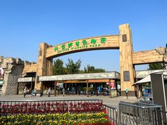 -北京野生动物园