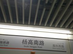 -杨高南路(地铁站)