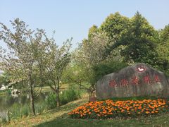 -鹅湖玫瑰文化园